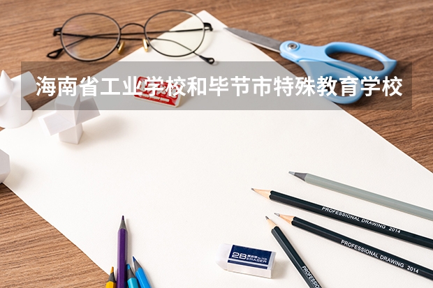 海南省工业学校和毕节市特殊教育学校哪个好