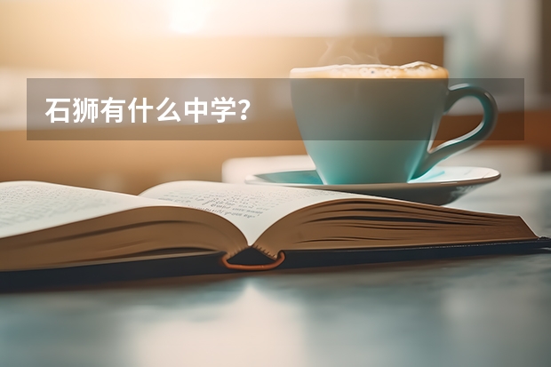 石狮有什么中学？