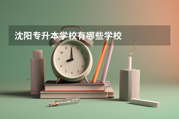 沈阳专升本学校有哪些学校